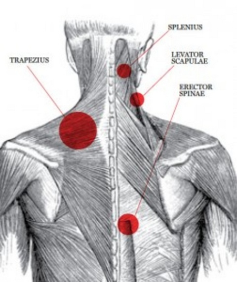 Reumatologija i fizikalna medicina – Sindrom bolnog ramena